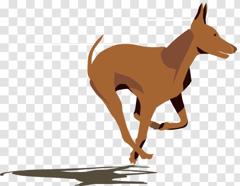 Dog Breed Italian Greyhound Clip Art Leash - Paw - Mammal Transparent PNG