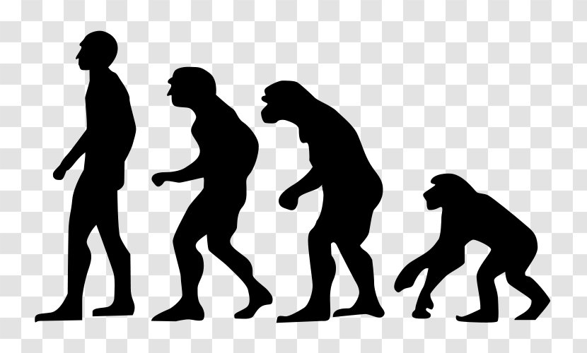 Desktop Wallpaper Human Evolution Wrestling T-shirt Wall Decal - Charles Darwin Transparent PNG