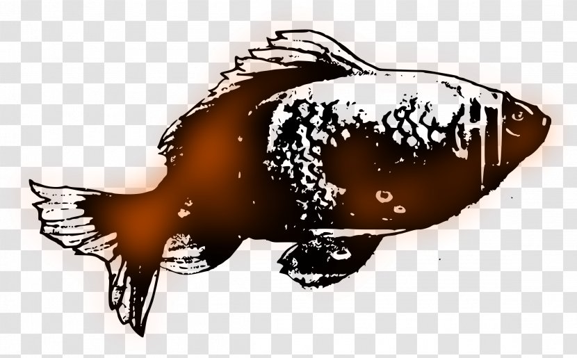 Goldfish Clip Art - Animal - Public Domain Transparent PNG