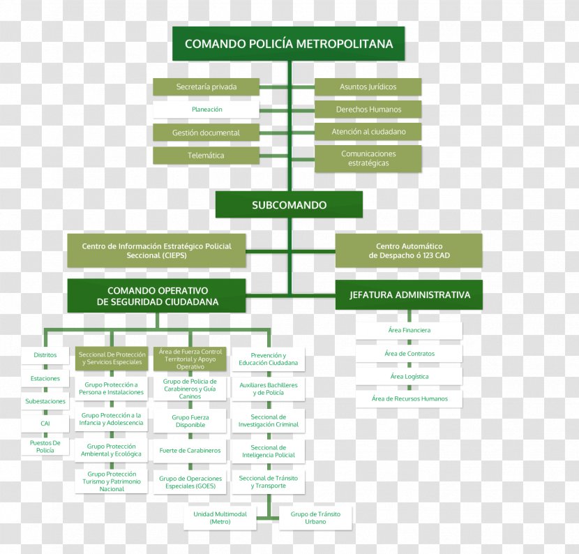 Popayán Organizational Chart National Police Of Colombia Transparent PNG