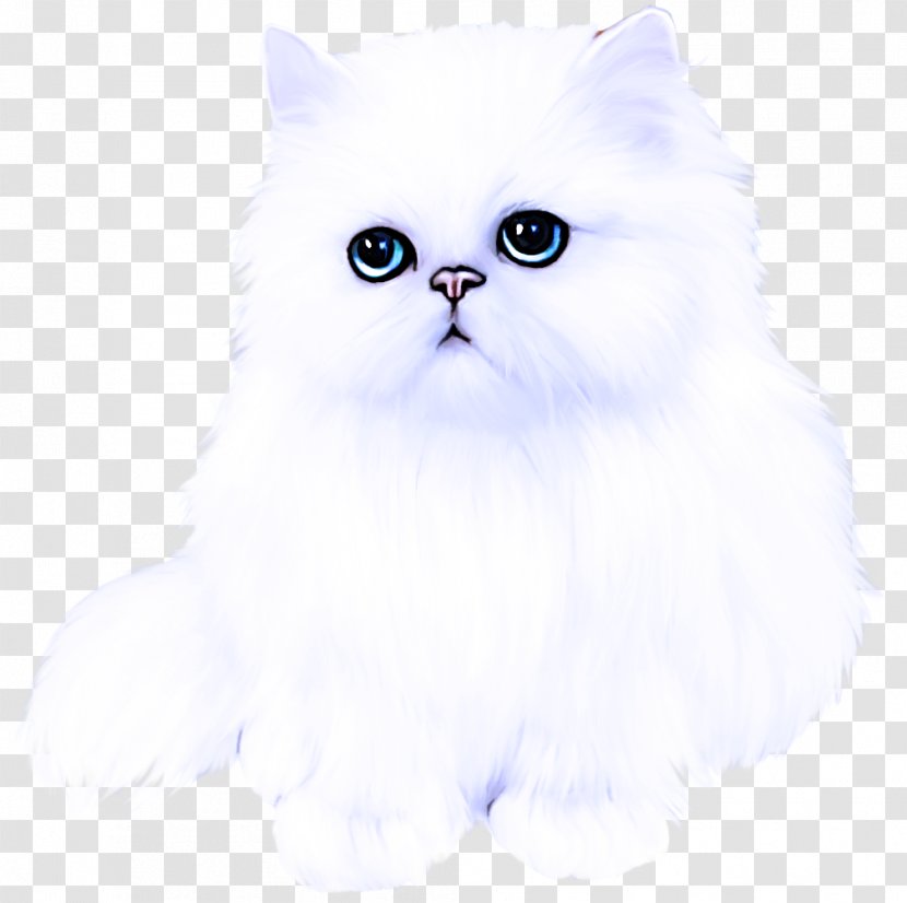 Cat Small To Medium-sized Cats Persian Whiskers British Longhair - Himalayan Kitten Transparent PNG