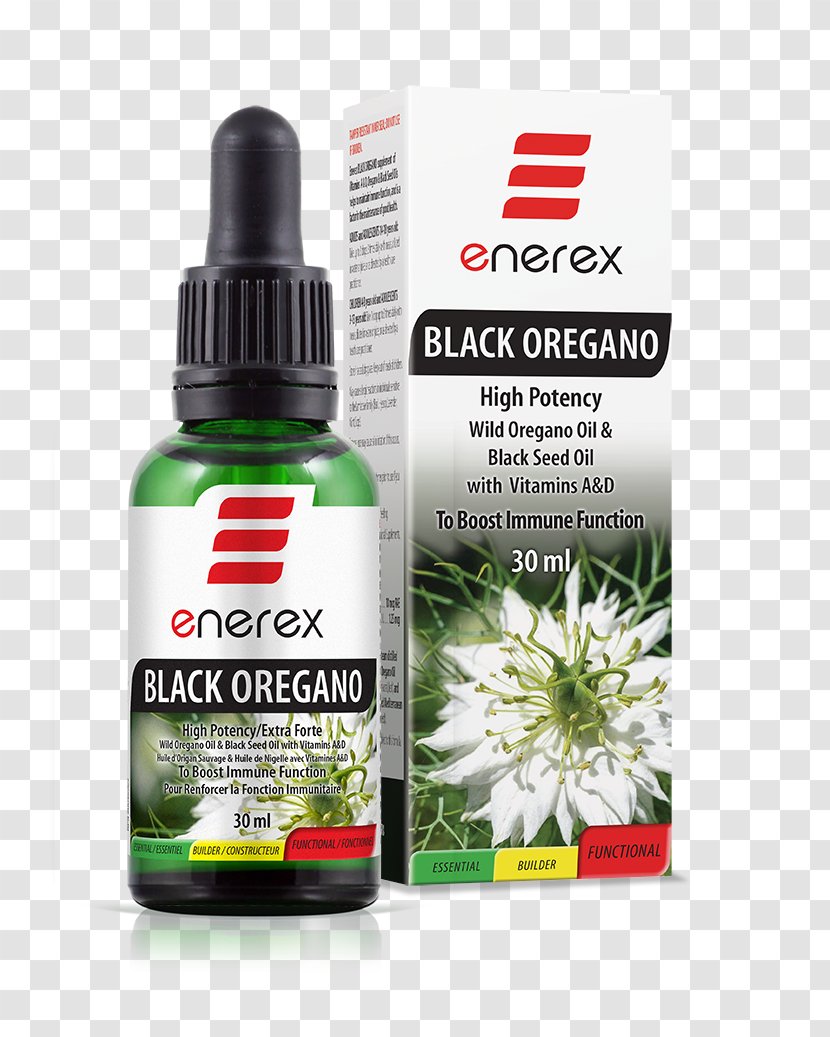 Oregano Fennel Flower Oil Mediterranean Cuisine Herb - Enerex Botanicals Ltd Transparent PNG