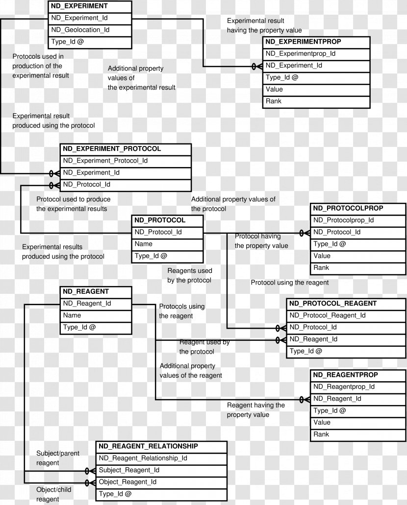 Document Entity–relationship Model Diagram Japanese Tea Ceremony Drawing - Controlled Vocabulary Transparent PNG