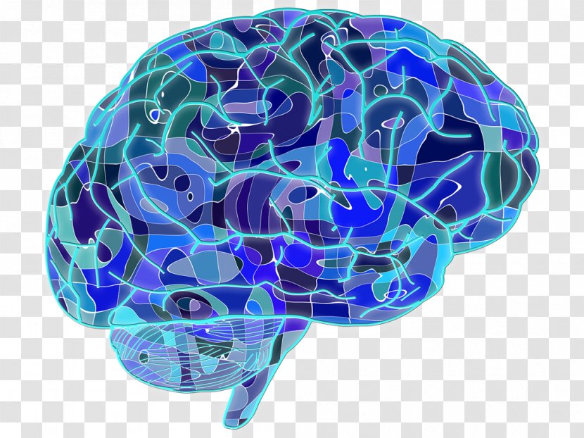 Blue Brain Project Neuron Human Neuroscience - Cartoon Transparent PNG