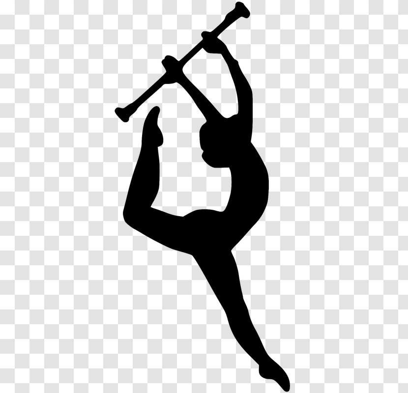 Color Guard Baton Twirling Colour Winter Marching Band - Physical Fitness - Silhouette Transparent PNG