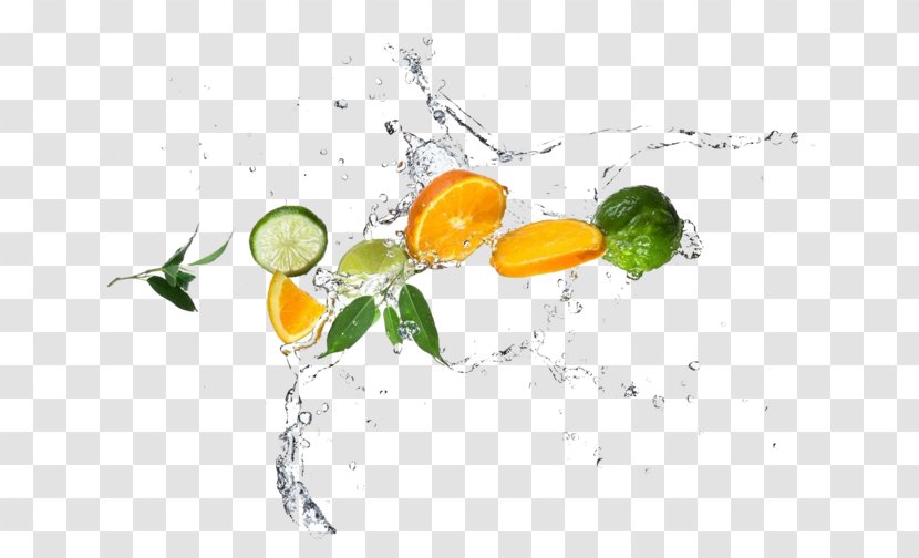 Fruit Auglis Orange - Citrus - Lemon Water Bead Mixed Transparent PNG