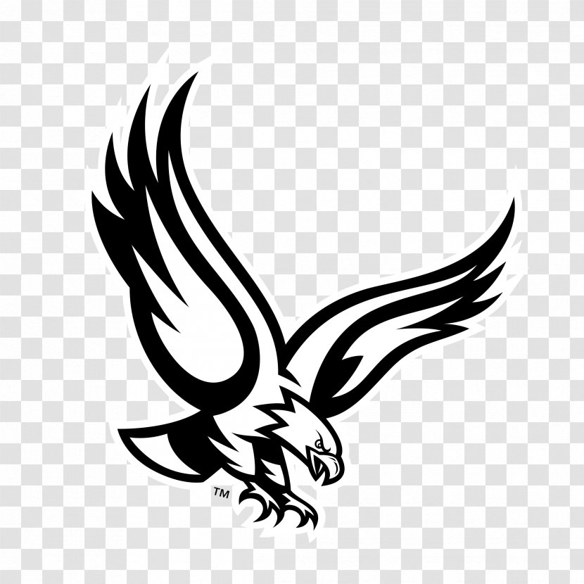 Philadelphia Eagles Bald Eagle - Logo Transparent PNG