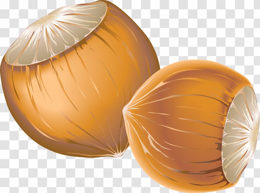 Clip Art - Chestnut - Snacks Transparent PNG