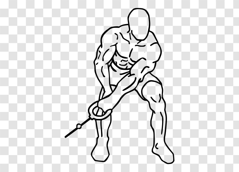 Rear Delt Raise Fly Deltoid Muscle Dumbbell Shoulder - Cartoon Transparent PNG