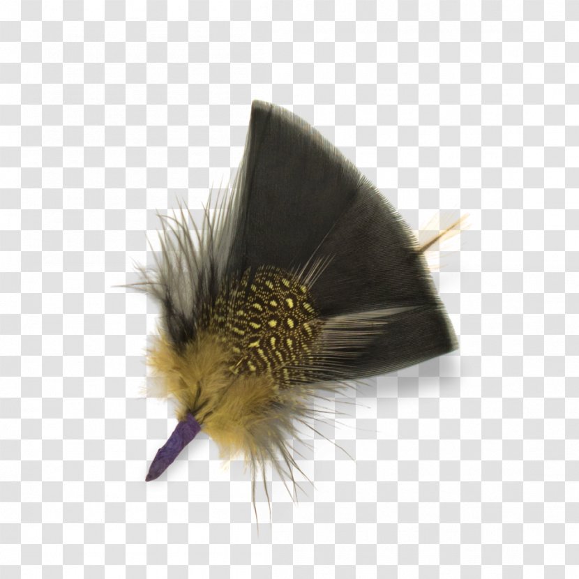 Feather Bird Hat Goorin Bros. Hackle - Clothing Accessories - Black Feathers Transparent PNG