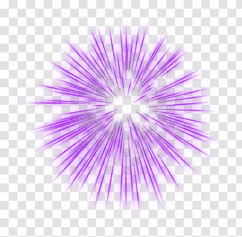 Fireworks - Petal - Firework Purple Transparent Clip Art Image Transparent PNG