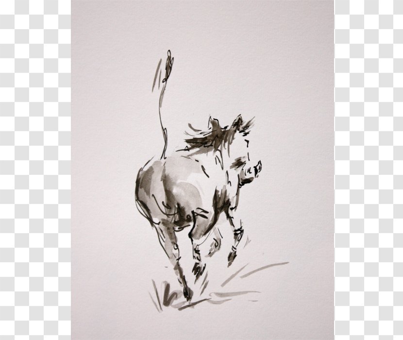 Cattle Deer Horse Hare Sketch Transparent PNG