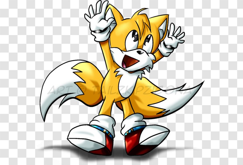 Sonic Chaos Generations Tails Fan Art Video Game - Vertebrate - The Hedgehog Transparent PNG