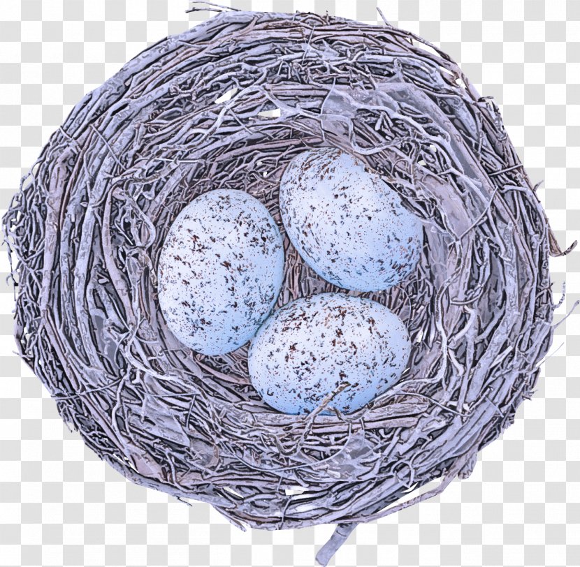 Egg - Nest - Bird Transparent PNG