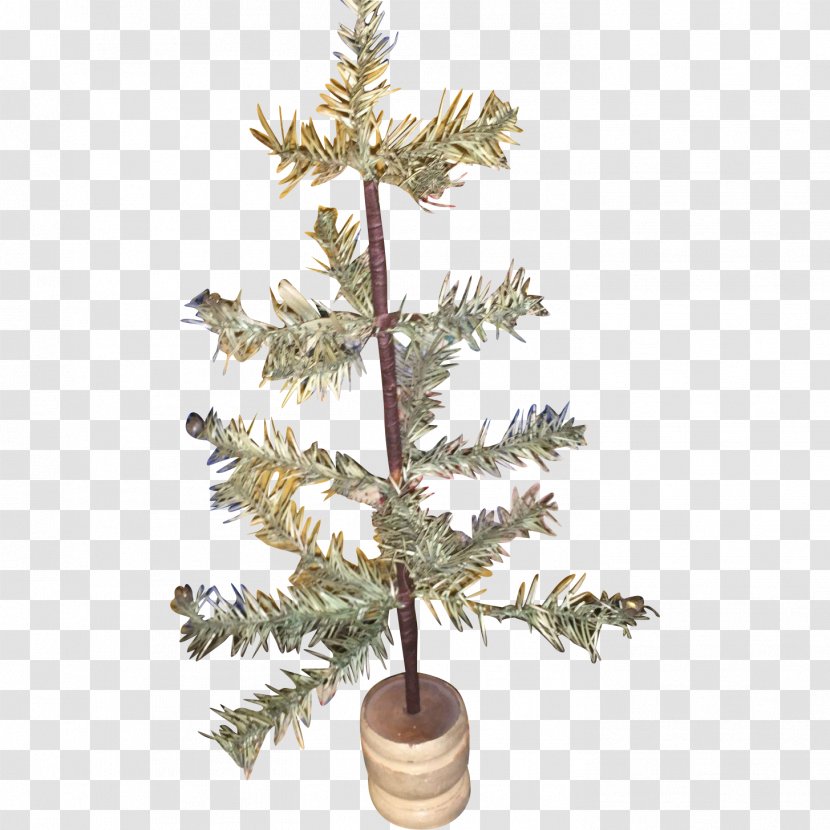 Spruce Fir Christmas Decoration Tree Ornament - Twig Transparent PNG