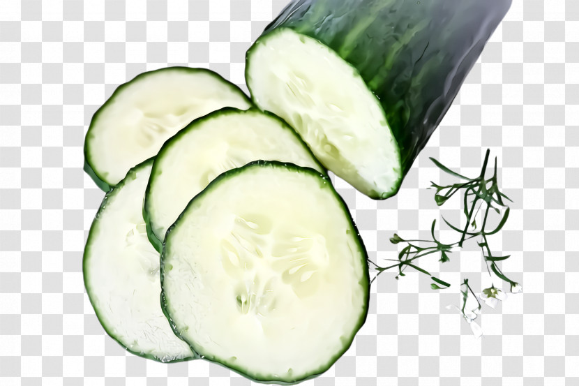 Food Vegetable Cucumber Plant Vegan Nutrition Transparent PNG