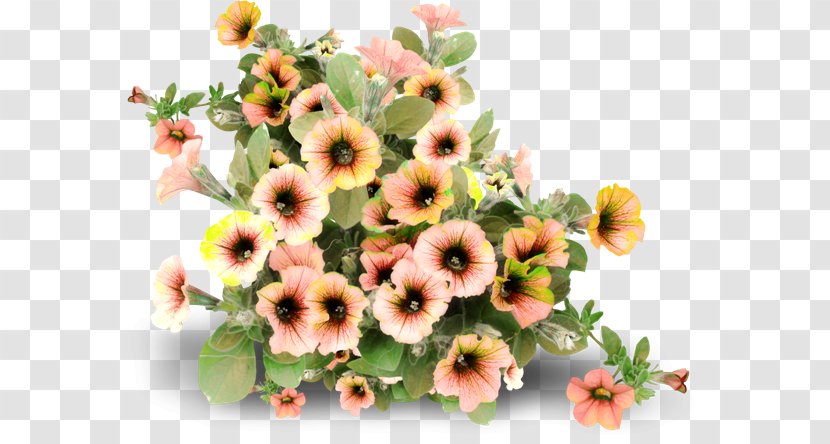 Flower Picture Frames - Jewellery Transparent PNG