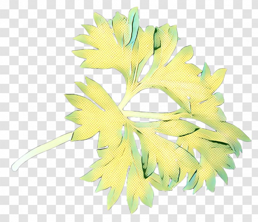 Flower Vintage - Tree - Feather Transparent PNG