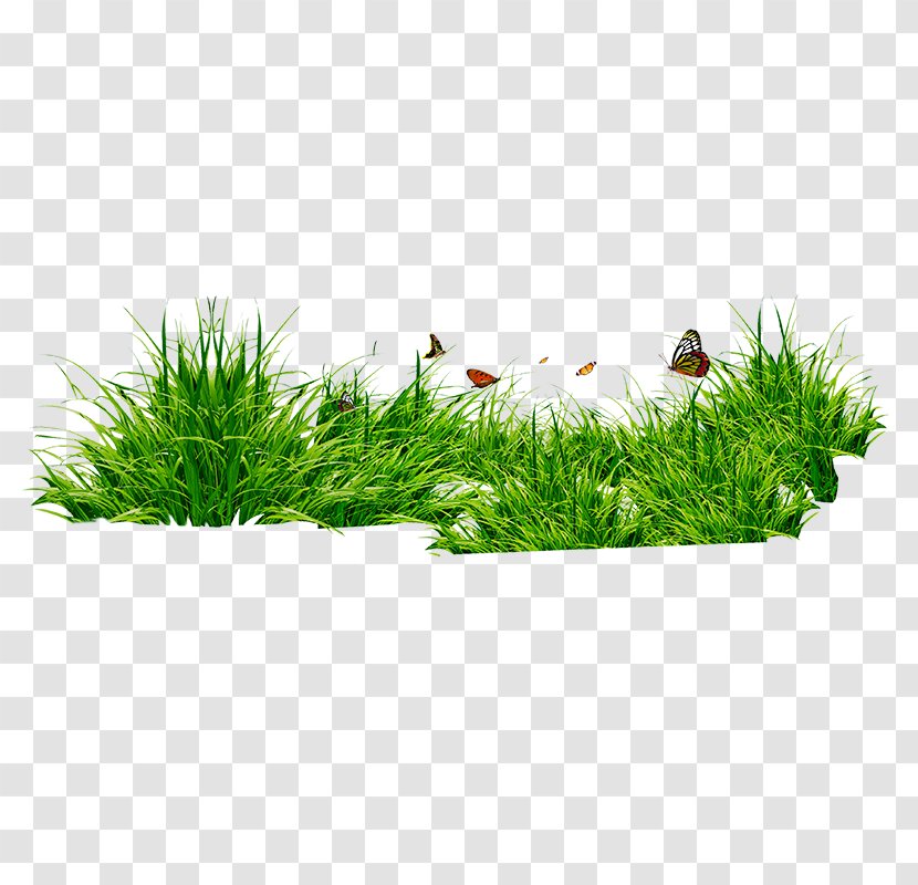 Grasses Clip Art - Image Editing - Butterfly Bushes Transparent PNG