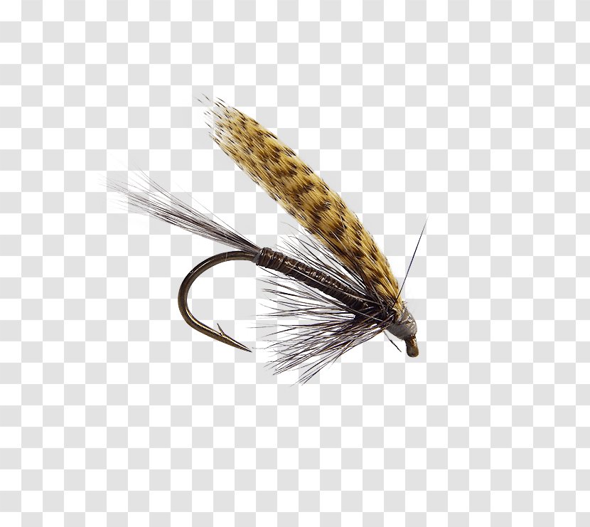 Quill Gordon Artificial Fly Emergers Fishing Insect - Wing Transparent PNG