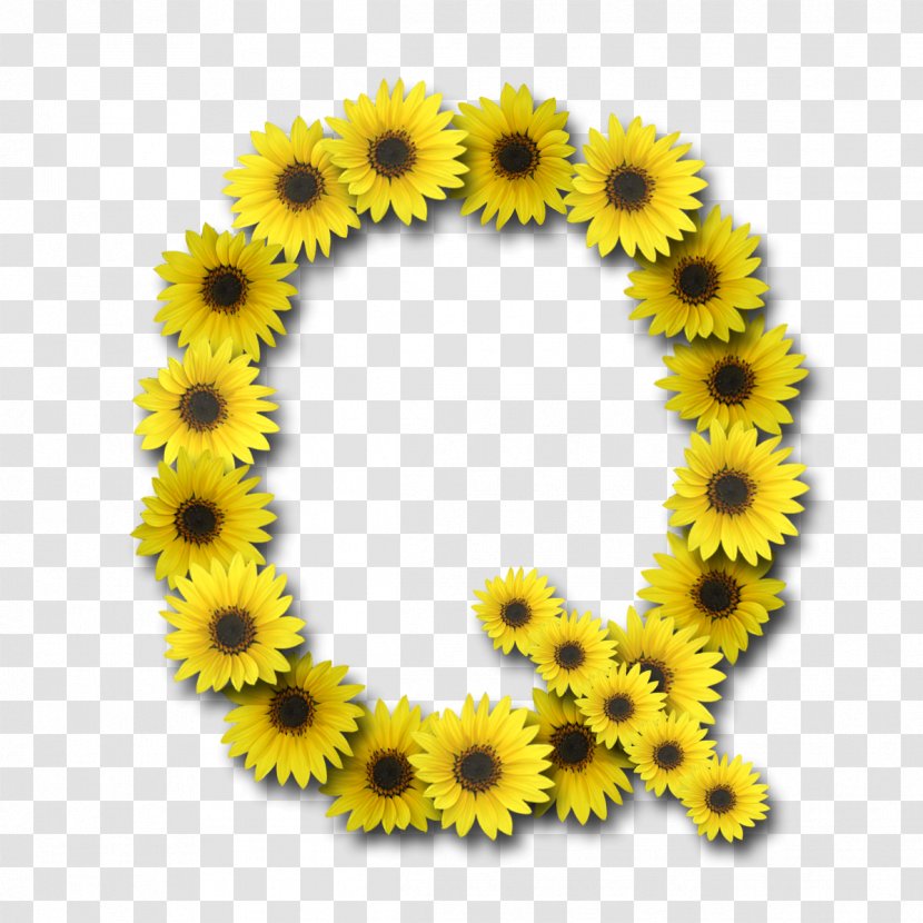 Letter Common Sunflower Alphabet - Flowering Plant Transparent PNG