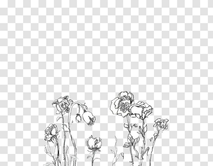 Aesthetics Black And White Photography Color - Tree - Drawing Flower Transparent PNG