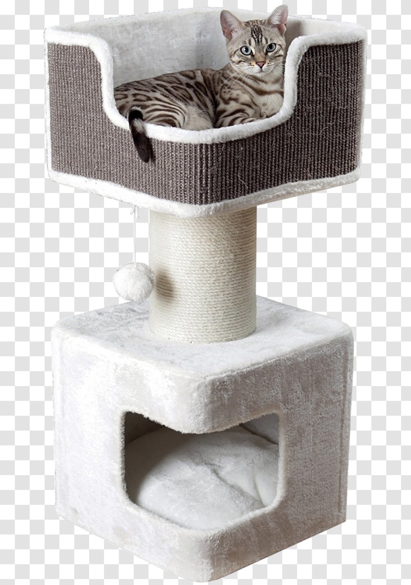 Cat Tree Scratching Post Sisal Pet - Petco Transparent PNG