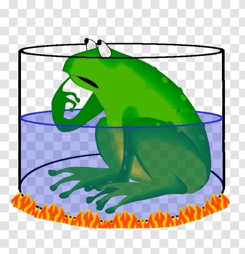 Frog Clip Art Lithobates Clamitans Amphibians Image - American Water Frogs Transparent PNG
