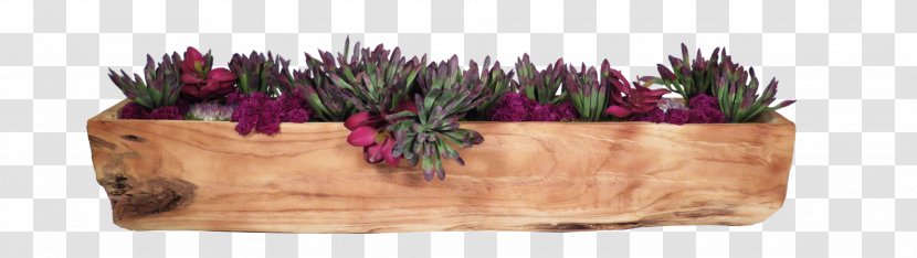 Cut Flowers Purple Violet Magenta - Flowerpot - Flower Transparent PNG