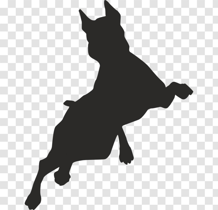 Border Collie Puppy Free Jumping Clip Art - Animal Transparent PNG