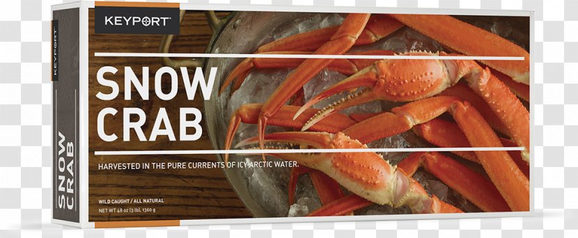 Red King Crab Snow Alaskan Fishing Meat - Clam Transparent PNG