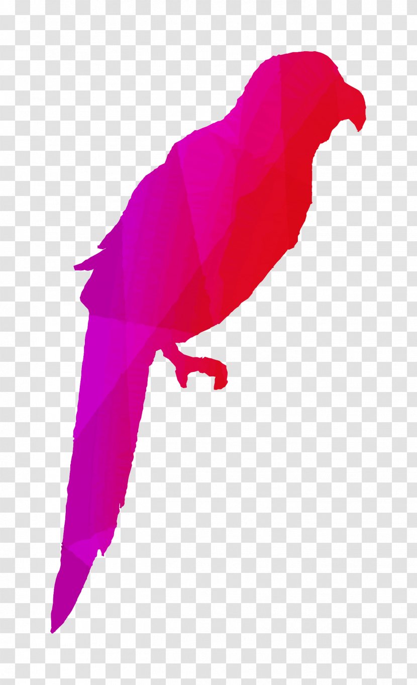Red Abdomen Macaw Blue White - Watercolor - Silhouette Transparent PNG