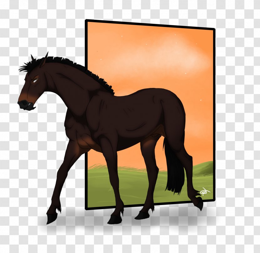 Mane Foal Pony Mustang Stallion - Horse Like Mammal Transparent PNG