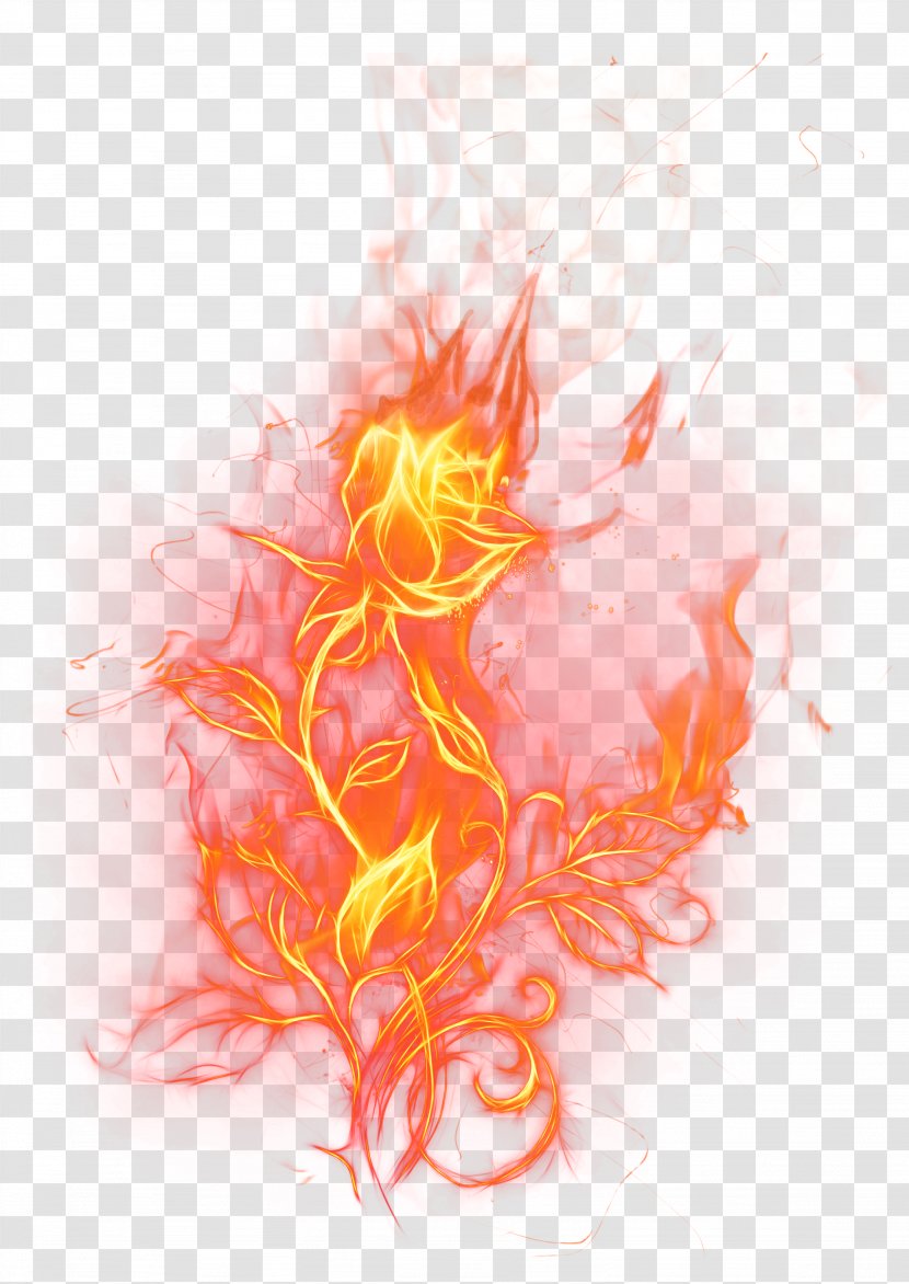 Fire Clip Art - Tree - Transparent Rose Clipart Picture Transparent PNG