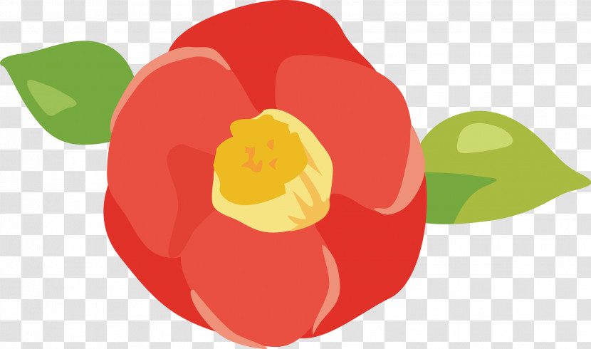 Plant Petal Flower Tulip Bell Pepper Transparent PNG