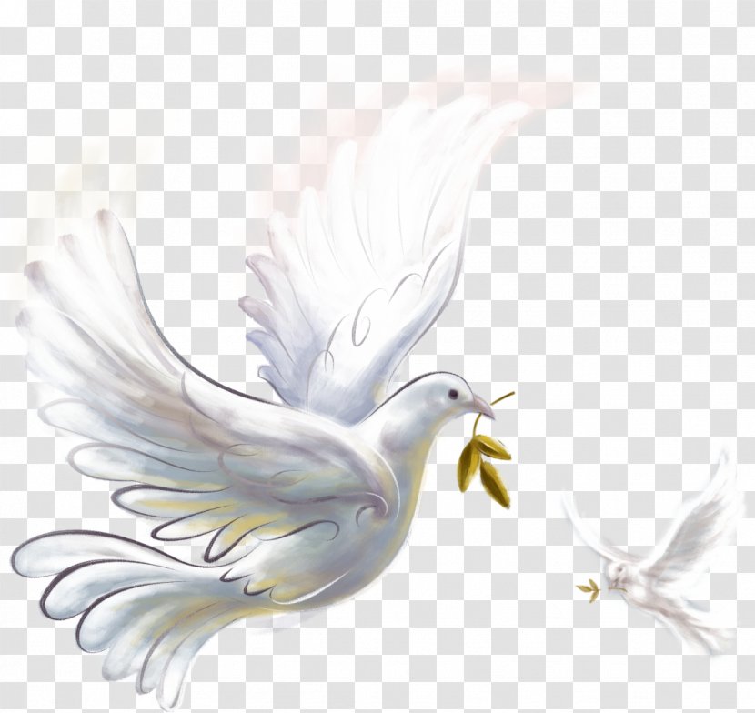 Epicenter Of Peace Doves As Symbols Clip Art - Pigeon Transparent PNG