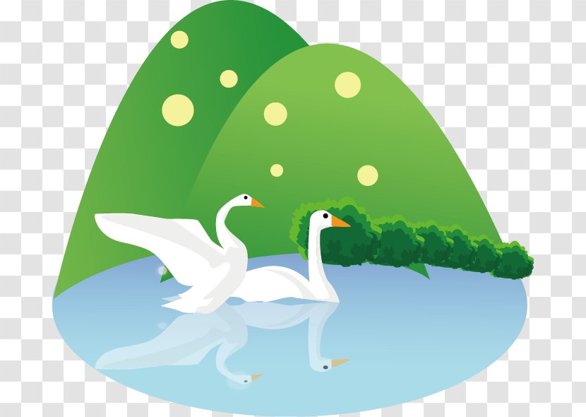 Duck Illustration - Wing - Swan Lake Vector Transparent PNG