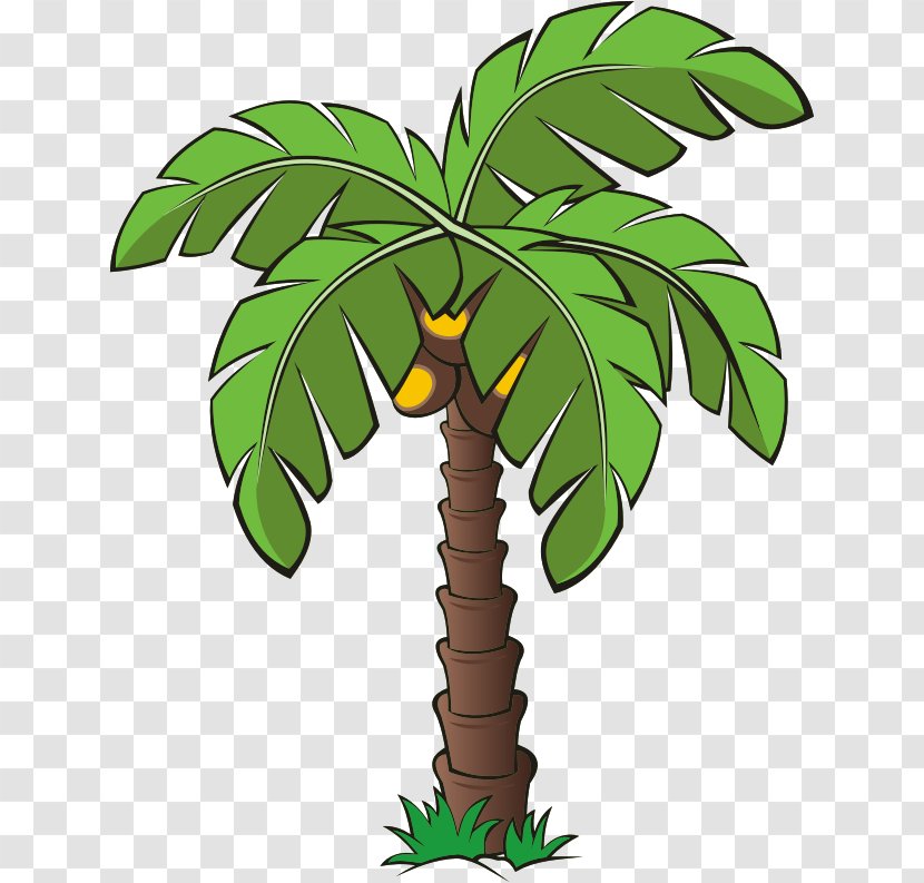 Arecaceae Date Palm Tree Clip Art - Woody Plant Transparent PNG