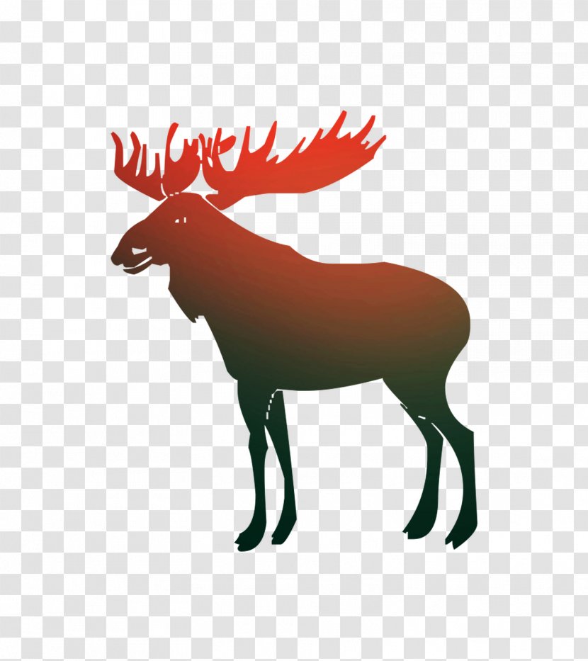 Moose Vector Graphics Royalty-free Stock Photography Illustration - Fawn - Reindeer Transparent PNG