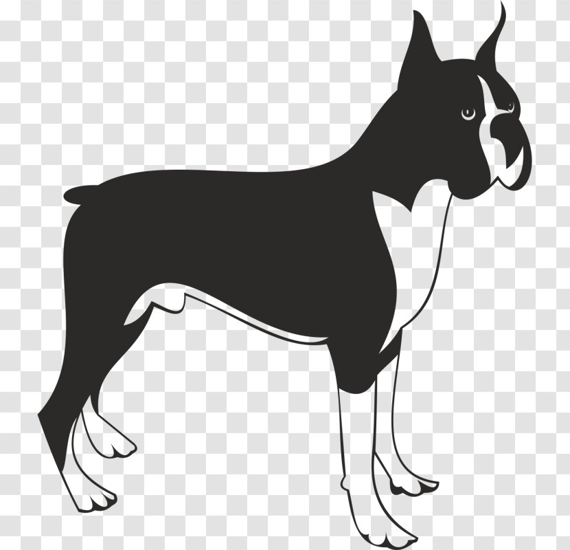 Boxer Clip Art - Tail - Dog Breed Transparent PNG