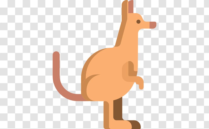 Kangaroo Animal Transparent PNG