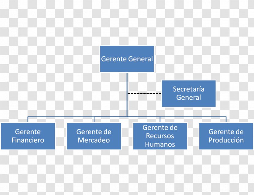 Organizational Chart General Manager Empresa - Brand - Trs Transparent PNG