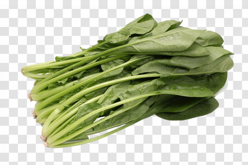 Spinach Vegetable Food Chinese Cabbage Cucumber - Vegitable Transparent PNG