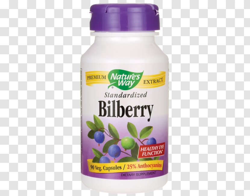 Dietary Supplement Bilberry Vitamin Extract Health - Anthocyanin Transparent PNG