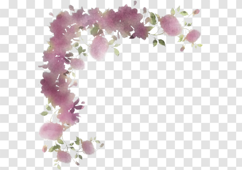 Flower Lilac Purple Violet Plant Transparent PNG