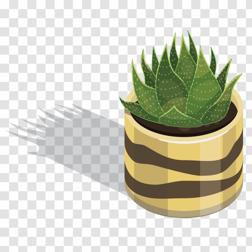 Vector Cactus - Flowerpot - Barefruit Marketing Transparent PNG