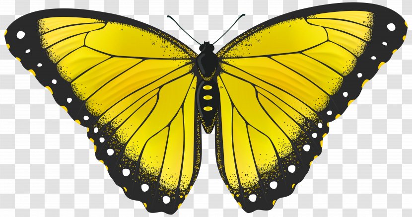 Monarch Butterfly Yellow Clip Art - Invertebrate - Cliparts Transparent PNG