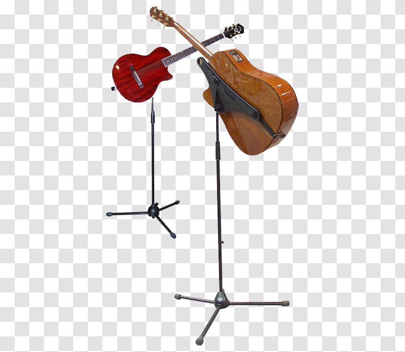 Acoustic Guitar Bass Electric Musical Instruments - Tree Transparent PNG