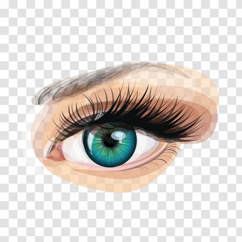 Human Eye Euclidean Vector Clip Art - Cartoon - Hand-painted Eyes Transparent PNG