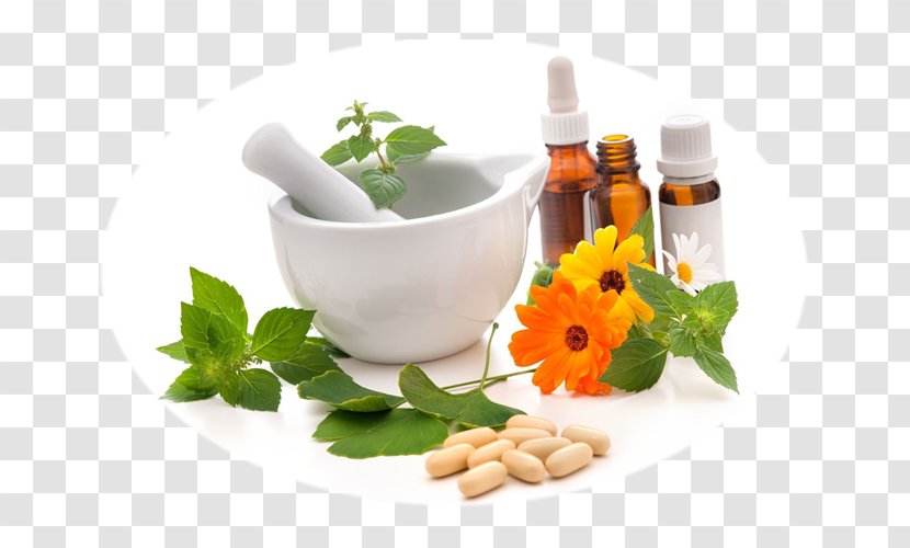 Ayurveda Medicine Therapy Alternative Health Services Naturopathy - Traditional Transparent PNG